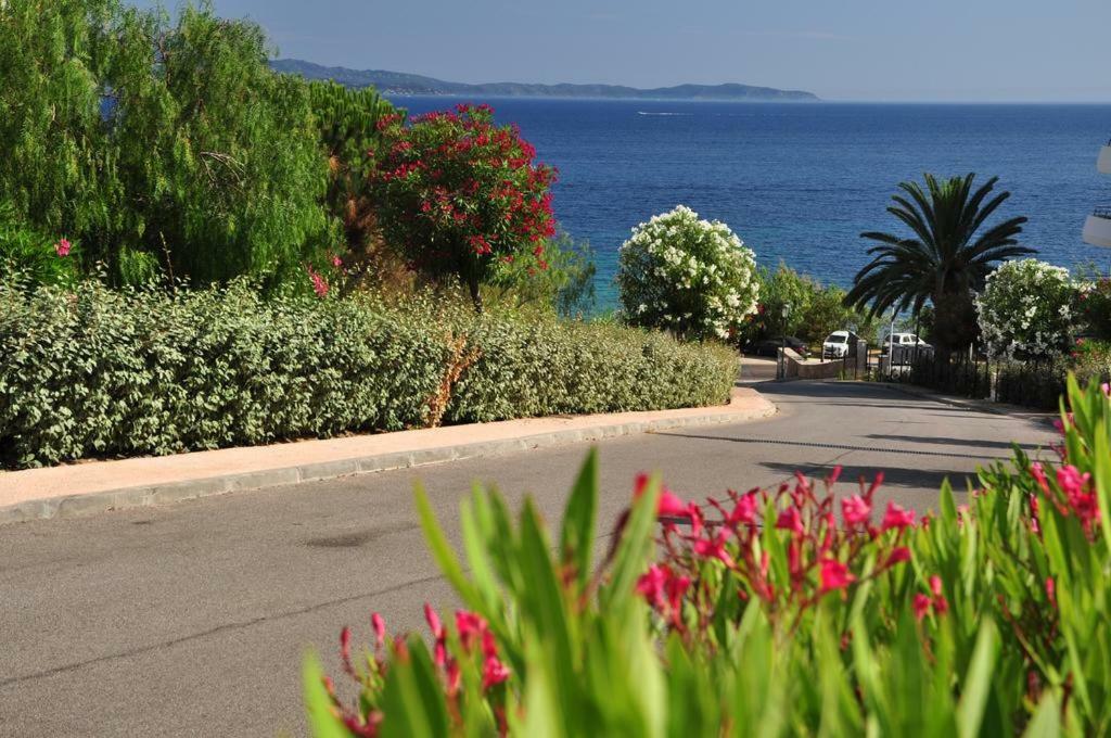T2 - Sanguinaires - Superbe Vue - Proche Centre Apartment